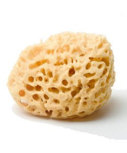 Bodycare Natural Sponge 16 17cm