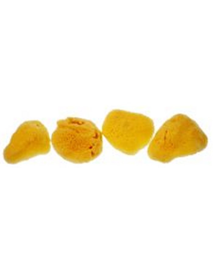 Bodycare Natural Sea Sponge Small 15 4 Pack